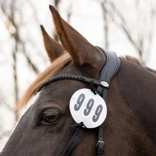 Numer startowy QHP "Prim"