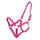 Kantar QHP "Basic" Fuchsia 24h