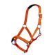 Kantar HKM Style "Sydney" Neon Orange