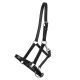 Skórzany kantar źrebięcy QHP ''Leather with clip'' 24h