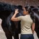 Koszulka damska Pikeur "Athleisure" wiosna/lato 2026 Frosted Sage