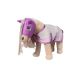 Zestaw "Cuddle Horse" Fly