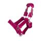 Kantar HKM "Comfort" Magenta 24h