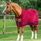 Derka polarowa Premier Equine "Buster" Burgundy