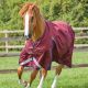 Derka padokowa Premier Equine "Buster" 0 g Burgundy