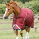 Derka padokowa Premier Equine "Titan" 100 g Burgundy