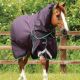 Derka padokowa z kapturem Premier Equine "Buster" 200 g Purple