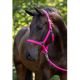 Kantar Covalliero "Hippo" Pink