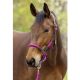 Kantar Covalliero "Cordano Deluxe" wiosna/lato 2026 Light Berry