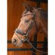 Ogłowie Harry’s Horse "Rosegold Lacque II"