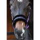 Kantar Harry's Horse ''It's a Kind of Magic''
