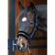 Kantar Harry's Horse ''Born 2 Ride''
