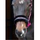 Kantar Harry's Horse ''Girl Power''