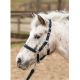 Kantar z uwiązem Harry's Horse "Stout"