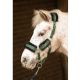 Kantar z uwiązem Harry's Horse " Soft Stout" 24h