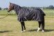 Derka padokowa Harry's Horse "Stretch Limo"