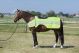 Derka odblaskowa do jazdy Harry's Horse "Reflective"