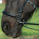 Czanki do hackamore F.R.A. "Love" 24h