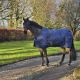 Derka stajenna Bucas "Cosy" Navy
