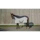 Derka przeciw owadom Equi Theme "Flycool Combo" White/Navy
