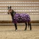 Derka padokowa Equi Theme "Licorne" 0 g