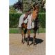Derka siatkowa do jazdy Riding World