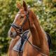 Ogłowie Lovequestrian "Dharini Rosegold" Black