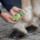 Olej do kopyt Zedan "Natural Hoof Care Oil" 200 ml