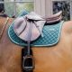 Czaprak skokowy Kentucky ''Diamond Rope'' Pine Green