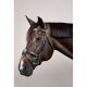 Ogłowie Dy'on "Anatomic Flash Noseband NE" Black
