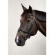 Ogłowie Dy'on "Flash Noseband NE" Black