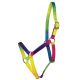 Kantar Waldhausen "Rainbow" 24h