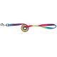 Uwiąz Waldhausen "Rainbow"