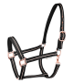Kantar Waldhausen "Rose"