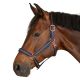Kantar Waldhausen "Rose" Night Blue 24h