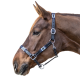 Kantar skórzany Waldhausen "Polo"