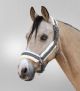Kantar Waldhausen "Sparkle"