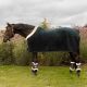 Derka polarowa Kentucky "Show Rug Heavy" Pine Green