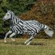 Derka siatkowa z kapturem Bucas "Buzz-Off Zebra & Neck" 24h