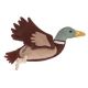 Zabawka dla psa QHP ''Duck'' jesień/zima 2026