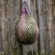 Siatka na siano Lovequestrian "My Haynet" Black & Pink