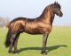 Derka na egzemę QHP "Friesians"