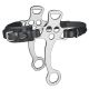 Hackamore Waldhausen II