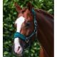 Kantar z uwiązem Premier Equine Green