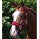 Kantar z uwiązem Premier Equine Burgundy 24h