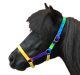 Kantar dla shetlandów HKM "Rainbow"