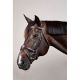 Ogłowie Dy'on "Anatomic Flash Noseband NE" Brown