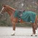 Pólderka Waldhausen "Rain Sheet"