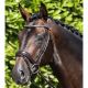 Ogłowie Premier Equine "Stellazio" Brown
