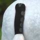 Ochraniacz na ogon Waldhausen "Neoprene"